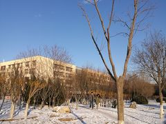 -天津市和平区西宁道清真寺