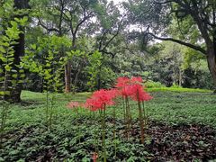 -杭州植物园