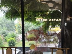 -院里寻菜·精致庭院菜(观沙岭店)