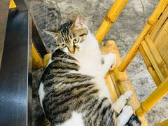 -铜瓢江湖兔火锅(水碾河社区店)