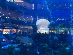 -成都浩海立方海洋公园