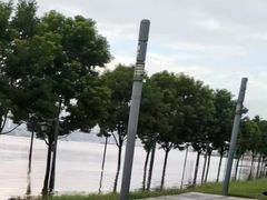 -武昌江滩