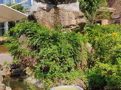 -东海大峡谷