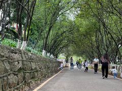 -昆明动物园