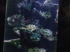 -南昌海洋公园