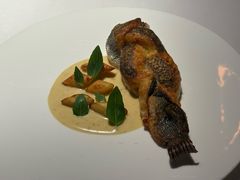 -Oyster Talks 四度蚝法餐厅