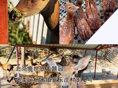 -沉浸北京·团建旅行·密室剧本杀·年会会议轰趴拓展