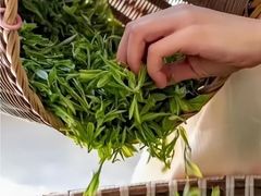 -十八棵（老龙井）御茶园(老龙井店)