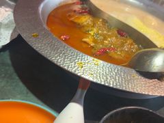 -麻田会 ·鲜活现烹·牛蛙火锅(珠江新城维家思广场店)