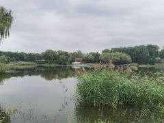 -北坞公园