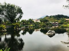 -广州从化都喜泰丽度假温泉酒店