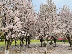 -大望京儿童游乐场