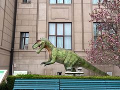 -国家自然博物馆