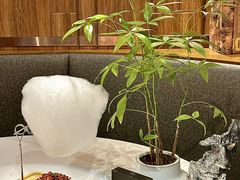-荟廷·晶萃(陆家嘴尚悦湾店)