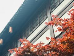 -香积寺