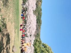 -苏州上方山国家森林公园