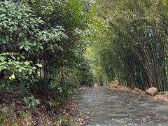 -三江森林温泉度假区