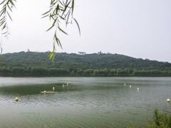 -羊山湖公园