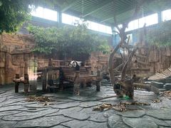 -泉州海丝野生动物世界