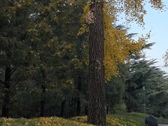 -北京鹫峰国家森林公园