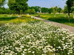 -汉长安城未央宫国家考古遗址公园