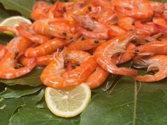 -太湖饭店玉兰厅(自助餐厅)