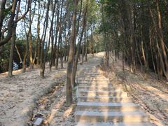 -火炉山森林公园
