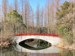 -东平国家森林公园