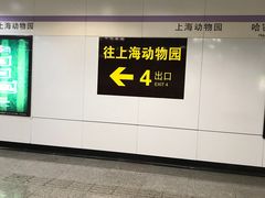 -上海动物园(地铁站)
