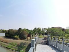 -上海海湾国家森林公园
