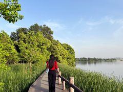 -东湖落雁景区