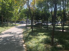 -玲珑塔公园