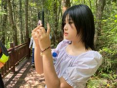 -汤旺河林海奇石景区