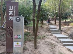 -中山市树木园