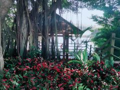 -大湾区中央湿地公园