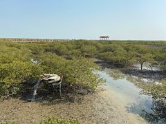 -北海金海湾红树林生态旅游区
