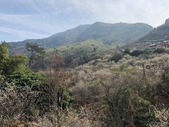 -广州市流溪河国家森林公园