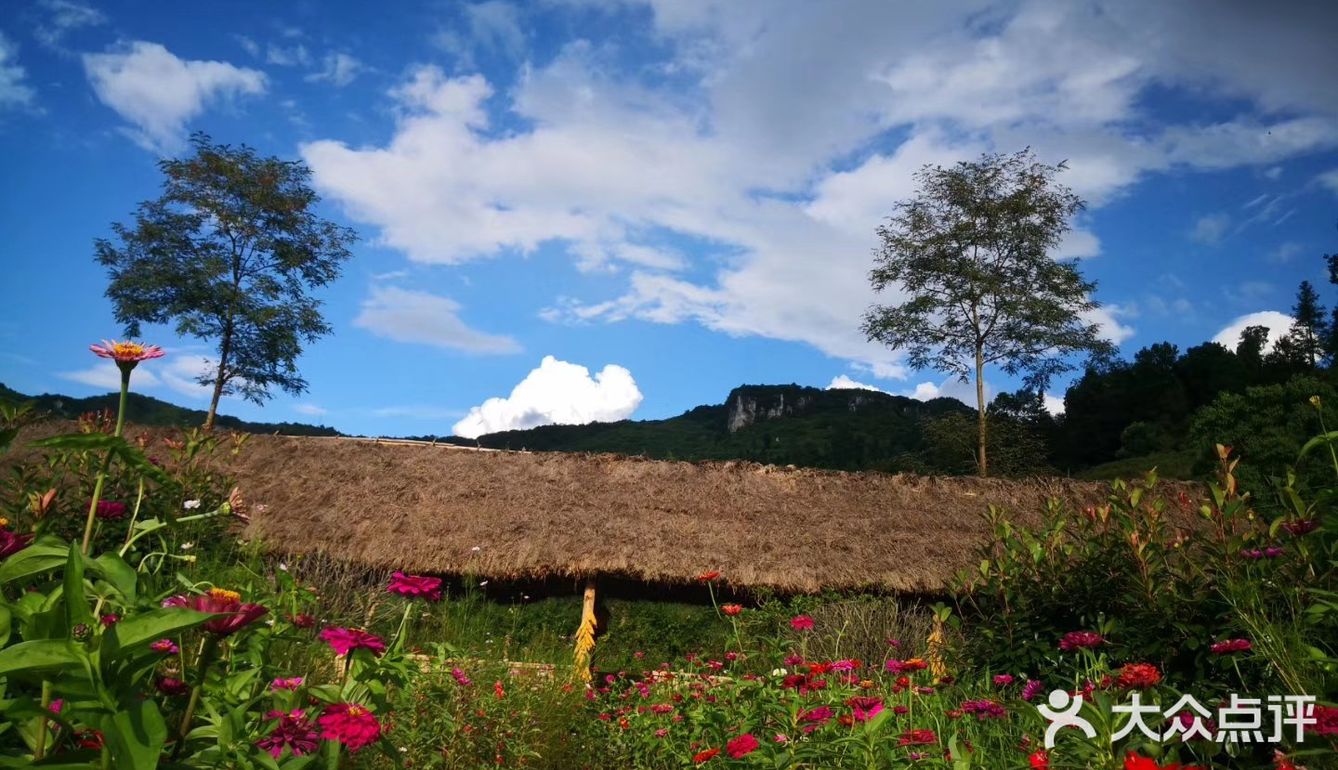 采摘 农家乐 南江花千谷农场