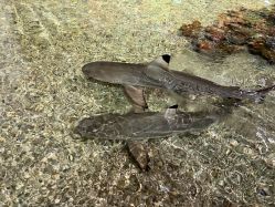 -Zoolung Zoolung动物主题公园(海信广场店)