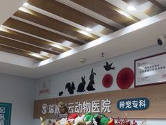 -瑞派·关忠动物医院猫科外科·异宠·24小时转诊中心(祥云店)