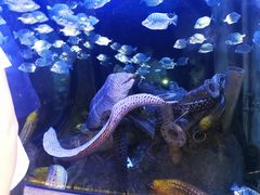 -成都浩海立方海洋公园