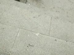 -武清南湖绿博园