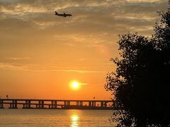 -宝安西湾红树林湿地公园