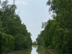 -大湾区中央湿地公园