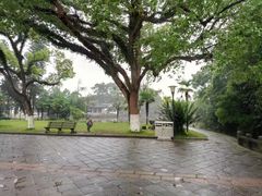 -江心屿景区