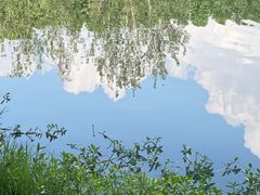 -捞渔河湿地公园