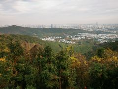 -九龙潭景区