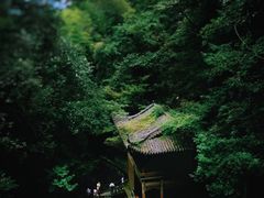 -藏龙百瀑风景区