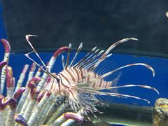 -福州罗源湾海洋世界旅游区