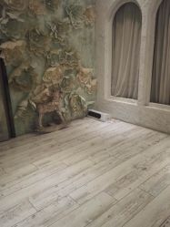 -星豆豆儿童摄影(南郊太白南路店)